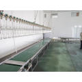 /msite/products/detail/productid/9606440/id/175165.html